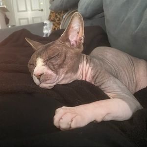 Meet your Posher, Chloe